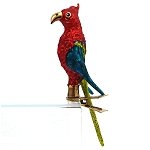 Red and Blue Clip on Parrot